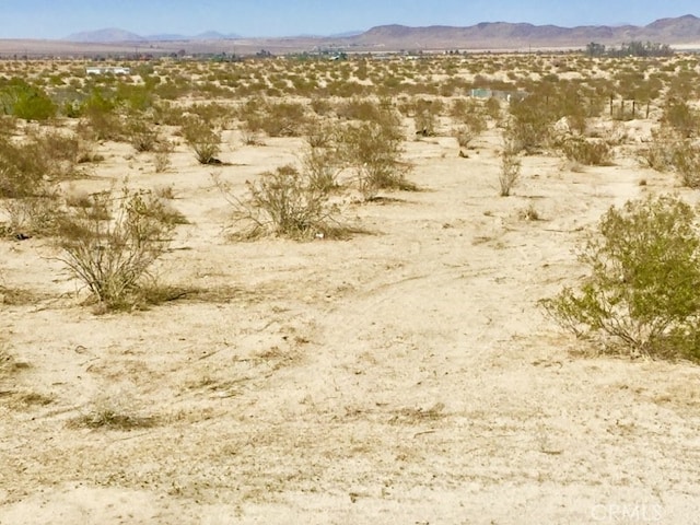 0 Terrace Rd, Joshua Tree CA, 92252 land for sale