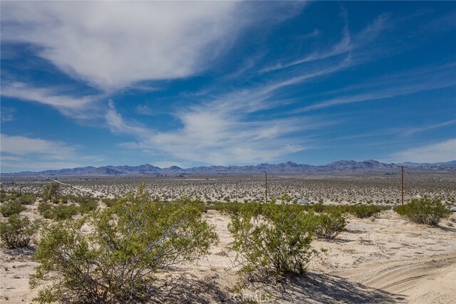 5900 Kickapoo Trl, Landers, CA 92285 - photo 6