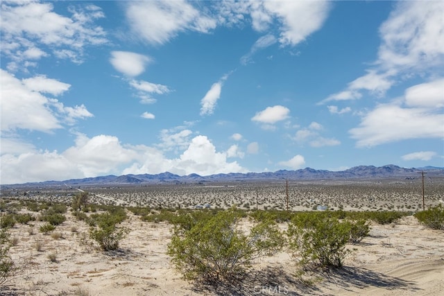 5900 Kickapoo Trl, Landers, CA 92285 - photo 5