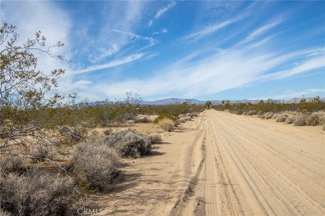 58300 Luna Vista Ln, Landers, CA 92284 - photo 3