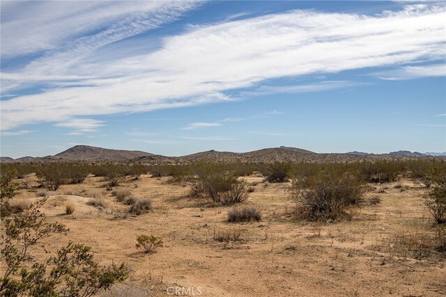 58300 Luna Vista Ln, Landers, CA 92284 - photo 9