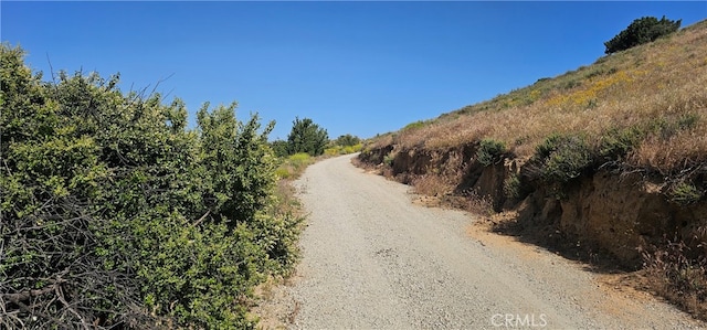 Listing photo 3 for 0 Sierra Hwy, Agua Dulce CA 91350