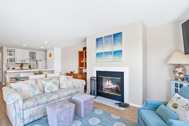 living room featuring light hardwood / wood-style flooring