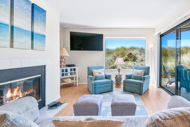 living room featuring light hardwood / wood-style flooring