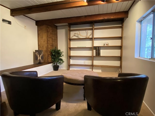 27121 Peninsula Dr, Lake Arrowhead, CA 92352 - photo 10