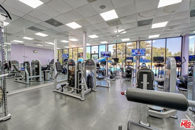 gym with a drop ceiling and floor to ceiling windows