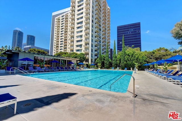 view of swimming pool with a patio area