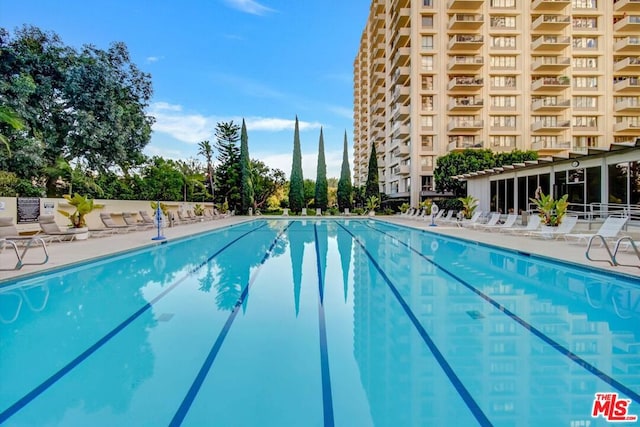 view of pool featuring a patio