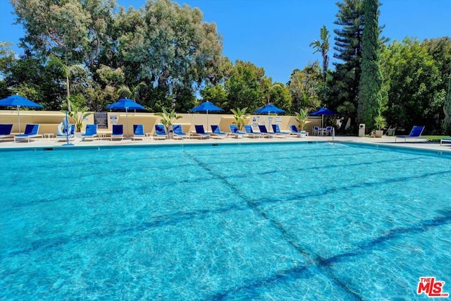 view of swimming pool