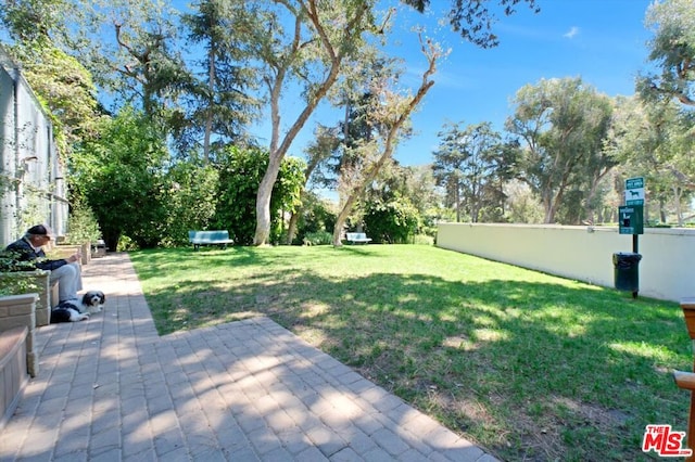 view of yard featuring a patio