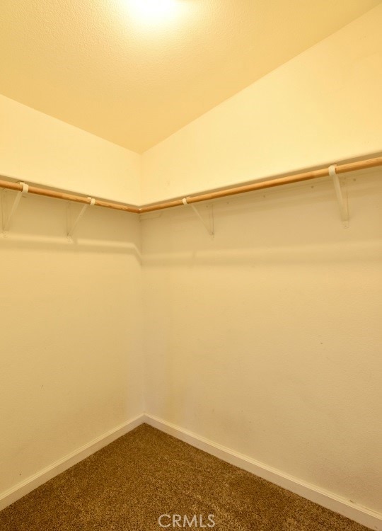 walk in closet featuring carpet