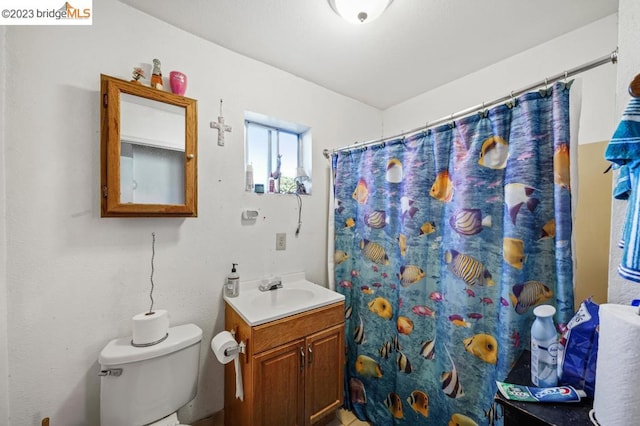 bathroom featuring vanity, toilet, and curtained shower