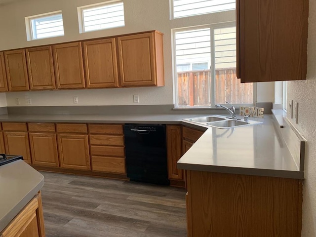 kitchen with black dishwasher, a healthy amount of sunlight, dark hardwood / wood-style floors, and sink