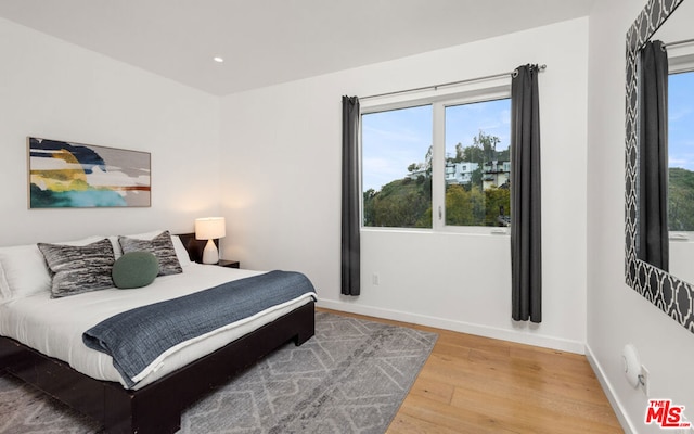 bedroom featuring wood-type flooring