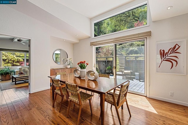 dining space featuring ceiling fan, light hardwood / wood-style flooring, a healthy amount of sunlight, and high vaulted ceiling