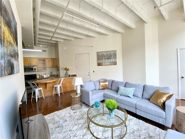 living room featuring dark hardwood / wood-style flooring