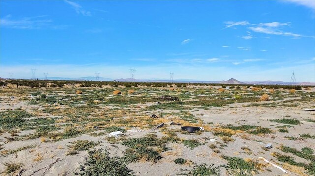 15745 Silver Rock Rd, Pinon Hills, CA 92372 - photo 7