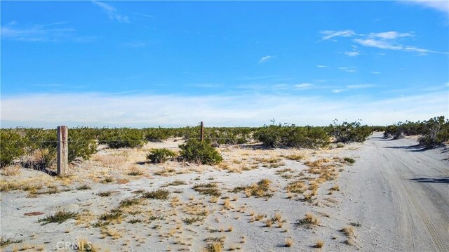 15745 Silver Rock Rd, Pinon Hills, CA 92372 - photo 8