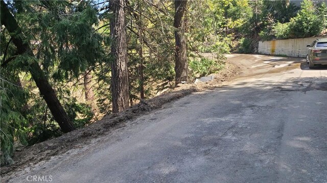 29186 Arrowhead Dr, Cedar Glen, CA 92321 - photo 6