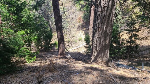 29186 Arrowhead Dr, Cedar Glen, CA 92321 - photo 5