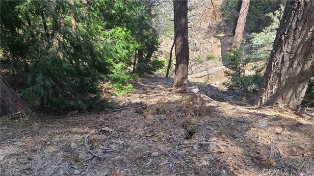 29186 Arrowhead Dr, Cedar Glen, CA 92321 - photo 3