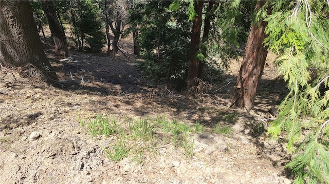 29186 Arrowhead Dr, Cedar Glen CA, 92321 land for sale