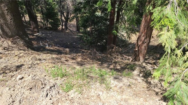 29186 Arrowhead Dr, Cedar Glen, CA 92321 - photo 1