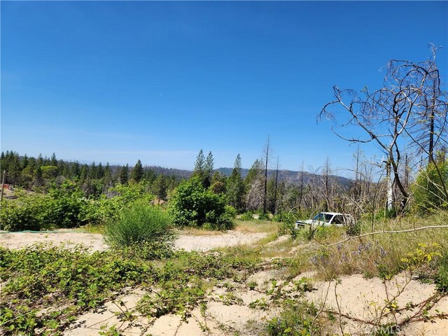 2175 Bald Rock Rd, Berry Creek, CA 95916 - photo 11