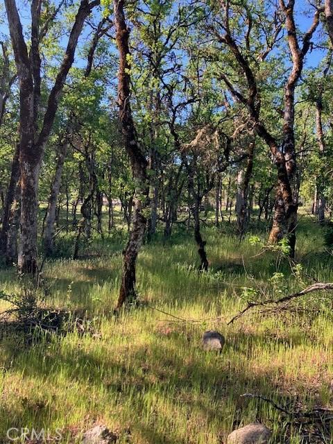 16073 13th Ave, Clearlake CA, 95422 land for sale