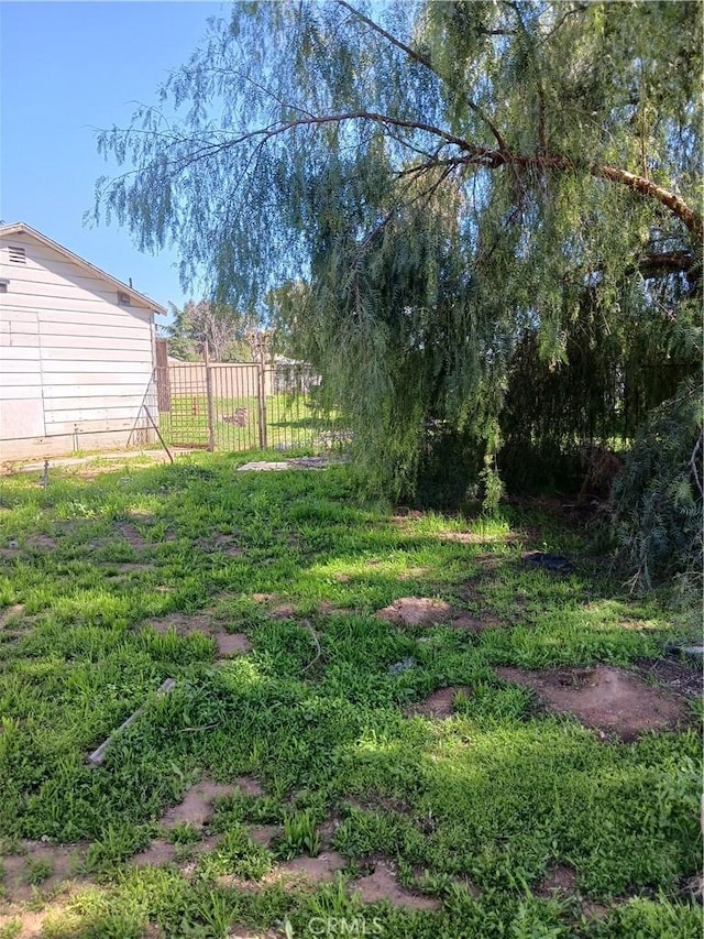 477 County Line Rd, Calimesa, CA 92320 - view of yard