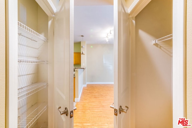 spacious closet with light hardwood / wood-style flooring