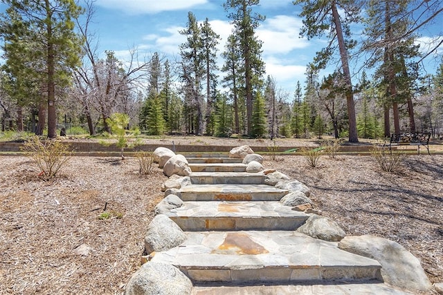 42143 Switzerland Dr, Big Bear, CA 92315 - view of yard