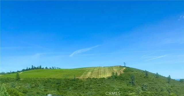 view of nature with a rural view