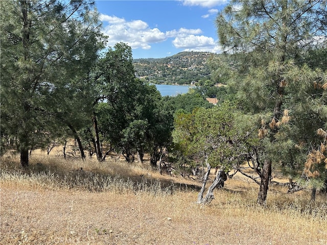 18750 E Ridge View Dr, Hidden Valley Lake CA, 95467 land for sale