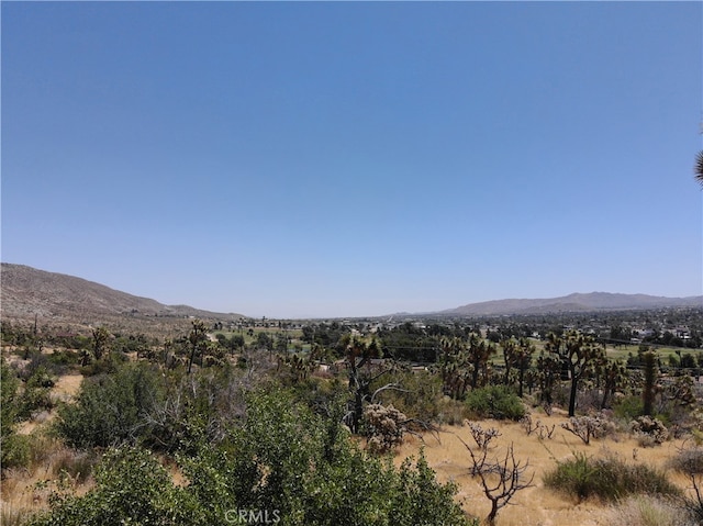 Listing photo 3 for 0 Yucca Trl, Yucca Valley CA 92284