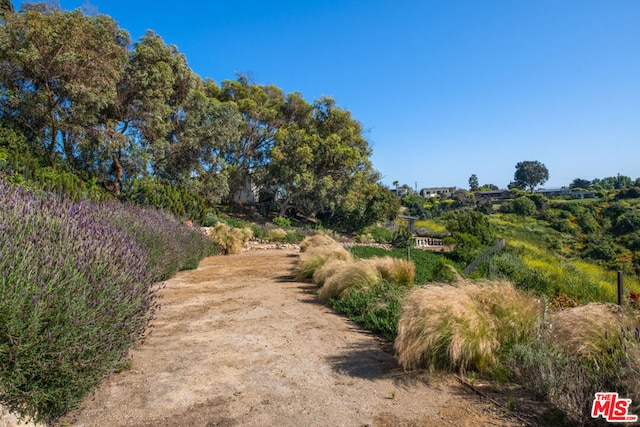 view of yard with a rural view