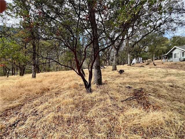 2595 Eastlake Dr, Kelseyville, CA 95451 - photo 5