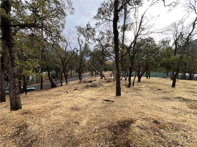 Listing photo 3 for 2595 Eastlake Dr, Kelseyville CA 95451