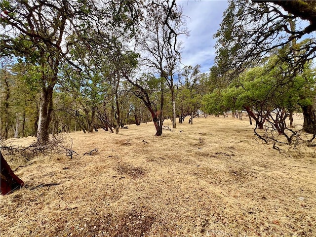 2595 Eastlake Dr, Kelseyville, CA 95451 - photo 7