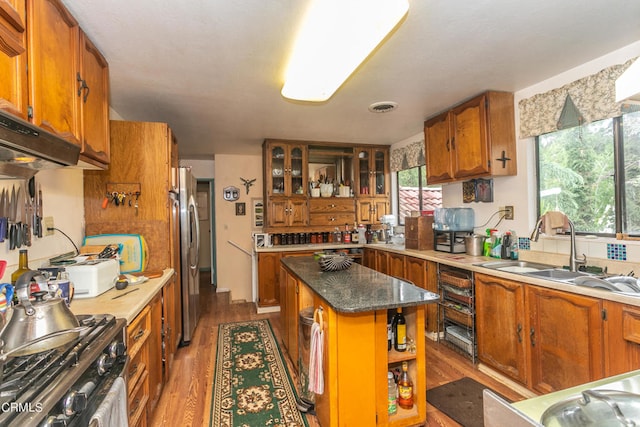 kitchen with a center island, stainless steel appliances, dark hardwood / wood-style floors, exhaust hood, and sink