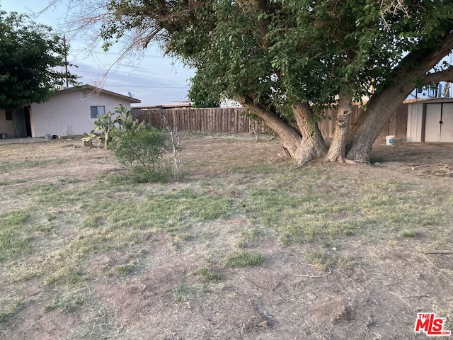 view of yard featuring a storage unit