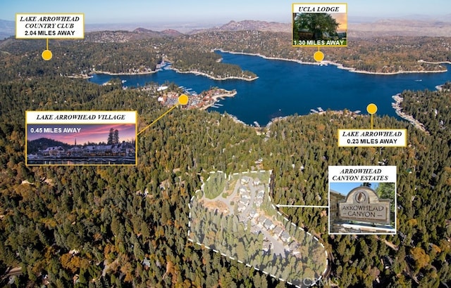 484 Clearwater Ln, Lake Arrowhead CA, 92352 land for sale