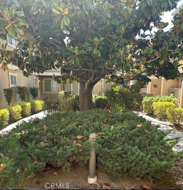 Listing photo 3 for 346 S Willard Ave Unit 8, San Jose CA 95126