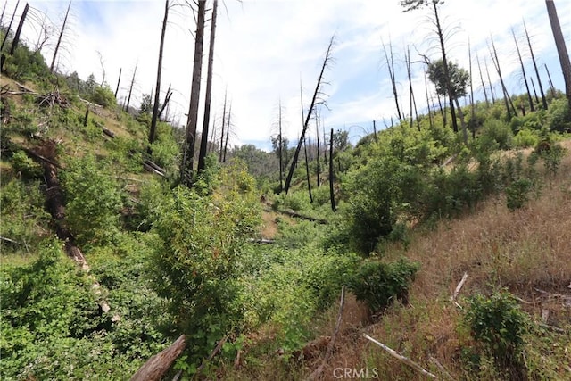 11231 Anderson Springs Rd, Middletown, CA 95461
