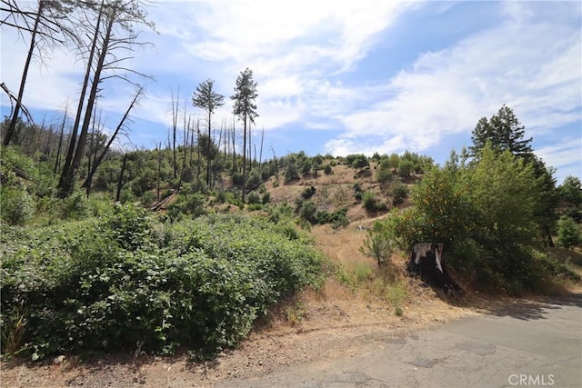 11231 Anderson Springs Rd, Middletown, CA 95461