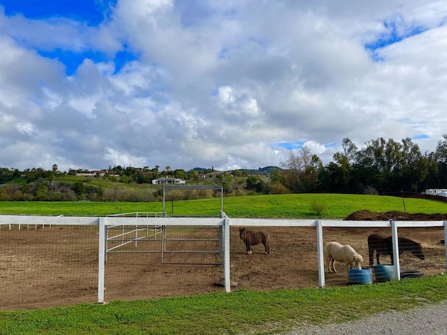 view of yard featuring a rural view