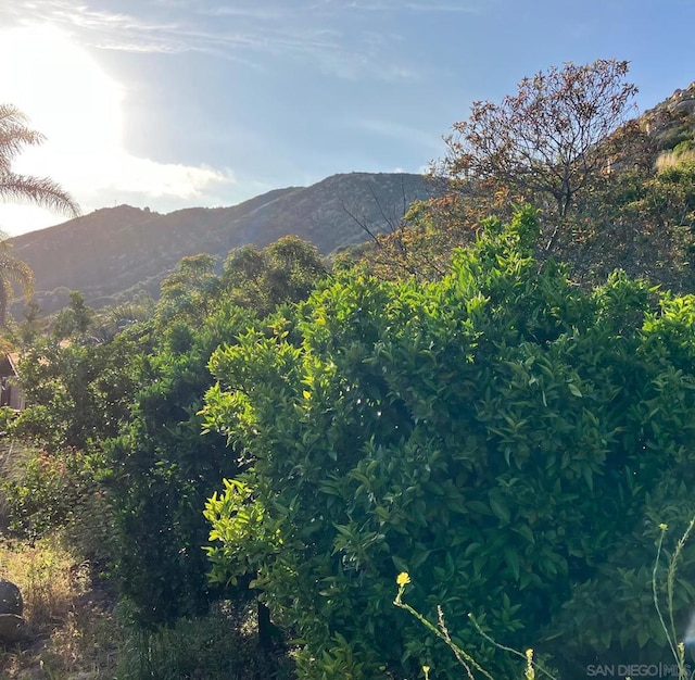 property view of mountains