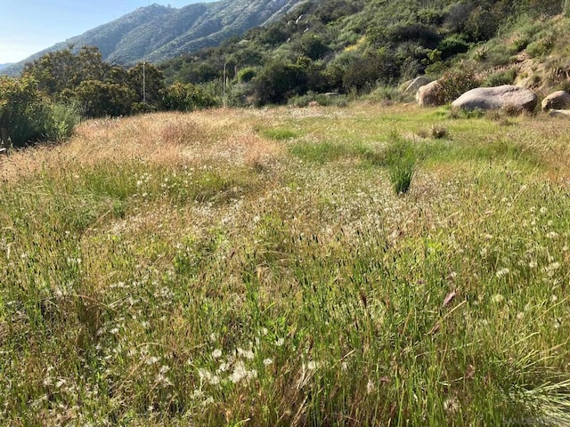 view of mountain feature