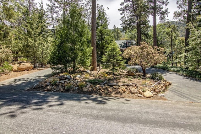 Listing photo 3 for 25460 Seneca Dr, Idyllwild CA 92549