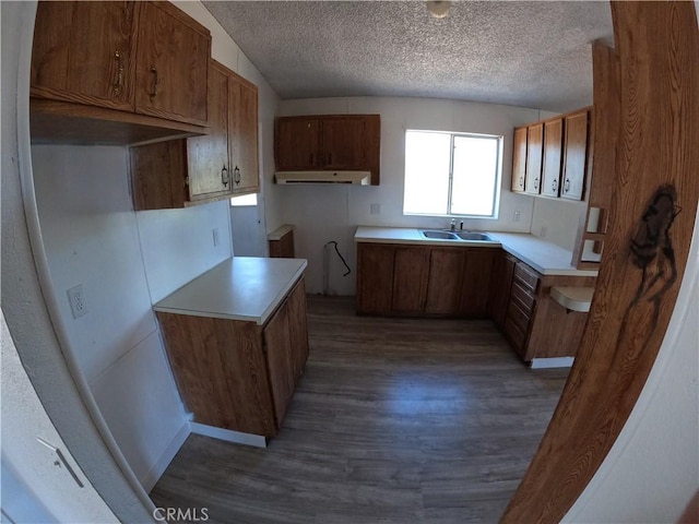 kitchen with a textured ceiling, dark hardwood / wood-style floors, lofted ceiling, and sink